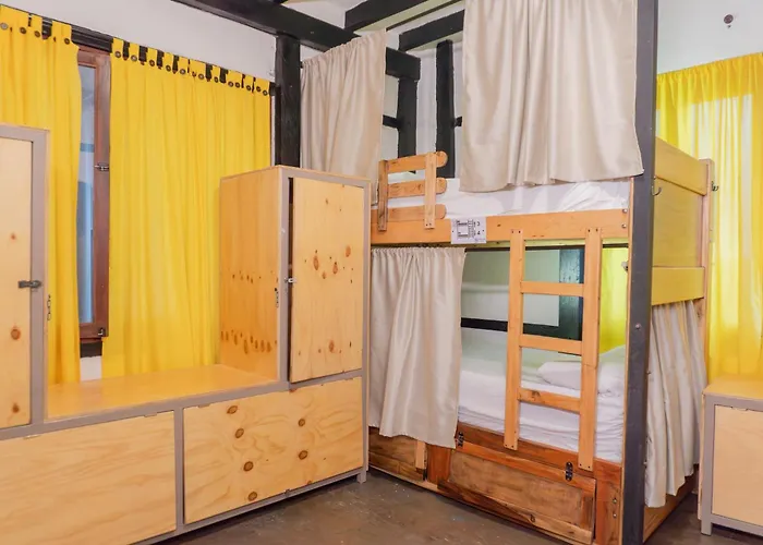 Coffee Tree Boutique Hostel